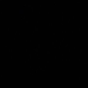 Meet your Posher, Vivian